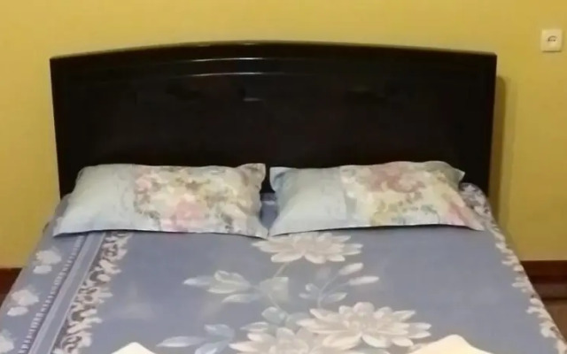 Apartment Mziia
