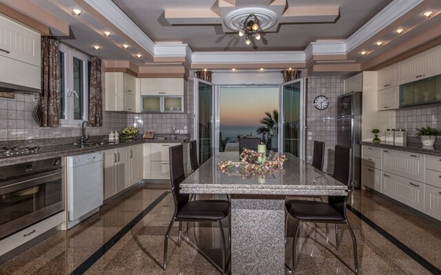 Frido Luxury Villa - 600 Sqm