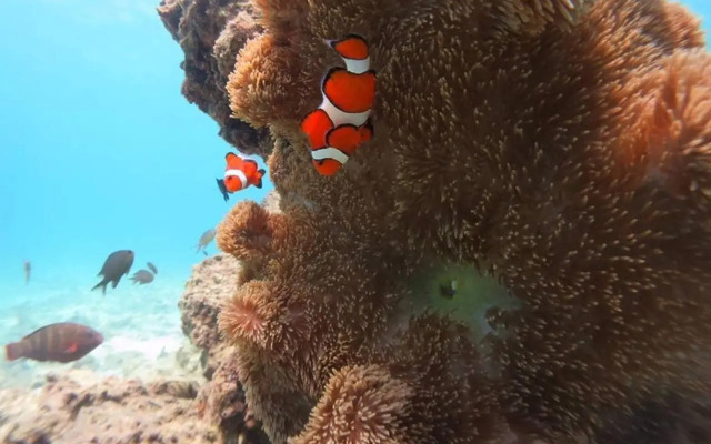 オーシャンリゾート真栄田岬