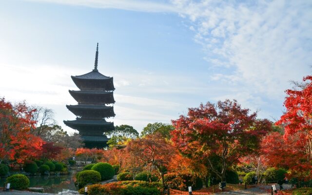 Stay SAKURA Kyoto To-ji Temple West Gate