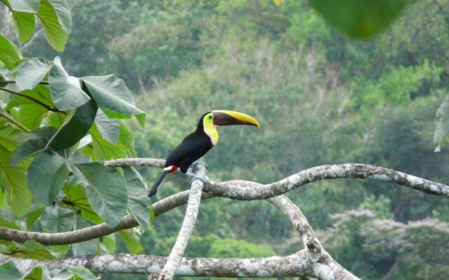 Punta Marenco Lodge