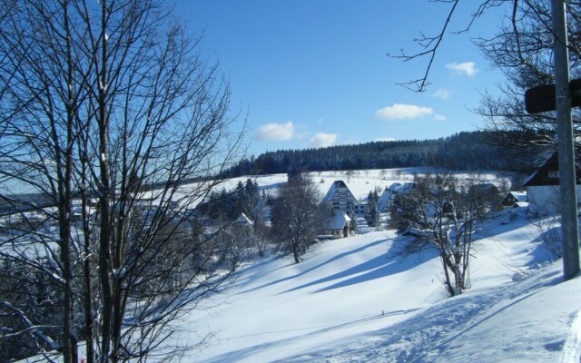 Charming Apartment in Schonwald im Schwarzwald With Sauna