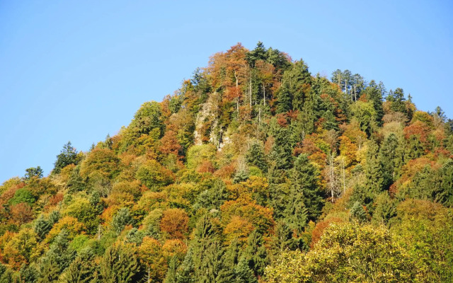 Gästehaus Schröder