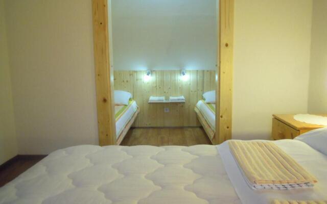 Wooden house Nela