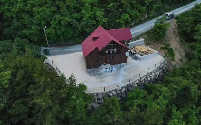 Diamond Tree House