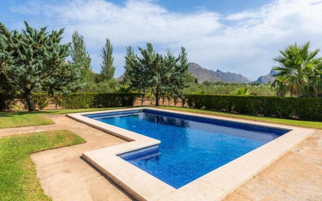 La Vinya del Beato 1950