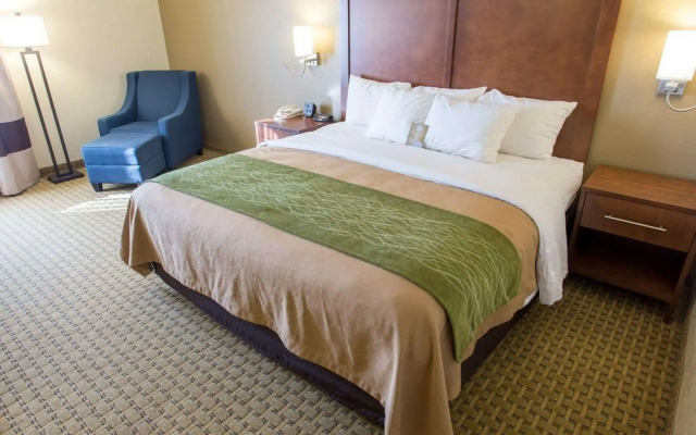 Comfort Inn Hammond
