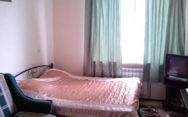 Solo Apartment Kamenskaya