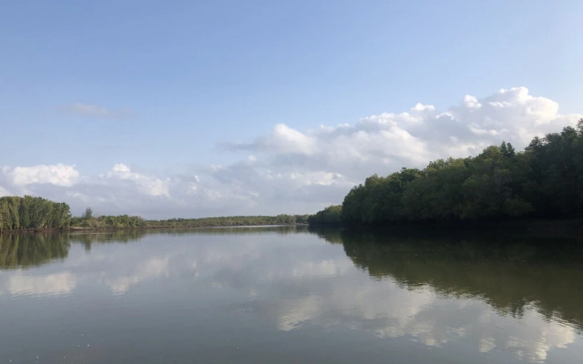 Saadani Safari Lodge - bush, river, beach