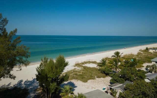 Palm Cay 3