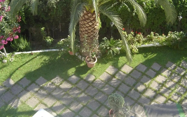 Paradise