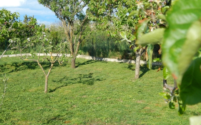 Apartment Ivan - modern & close to center: A2 Nin, Zadar riviera