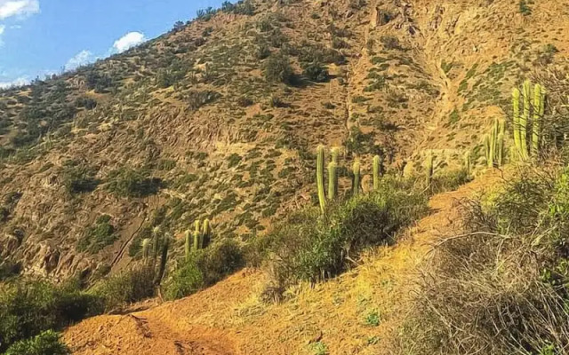 Origen del Maipo Lodge
