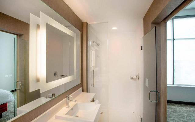SpringHill Suites by Marriott Athens Downtown/University Area