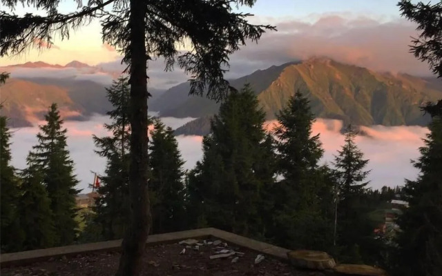 Pokut Orion