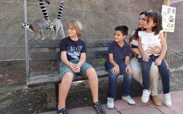 Hotel Selwo Lodge - Animal Park Tickets Included