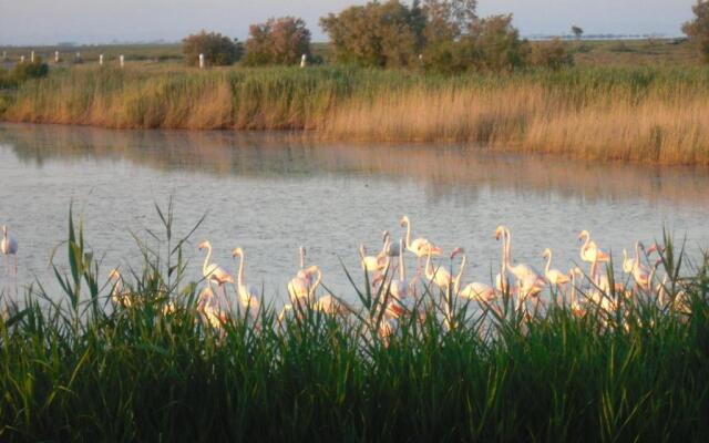 chambre les flamants