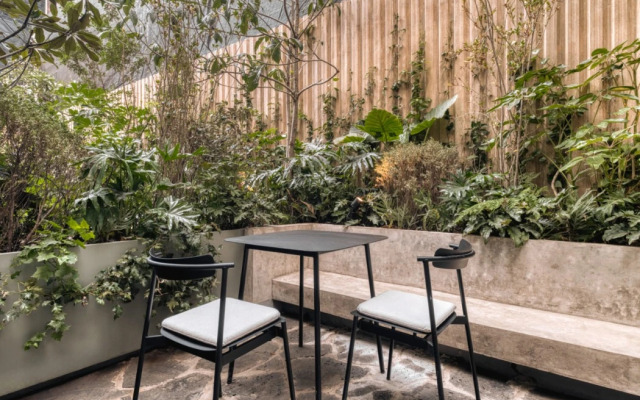 ONTO Alvaro Obregon Mexico City