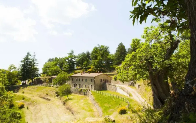 Le Selve di Vallolmo