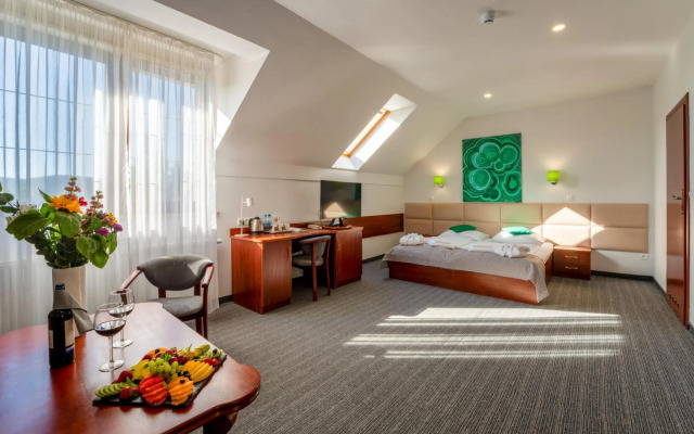Malachit Karpacz SPA Hotel