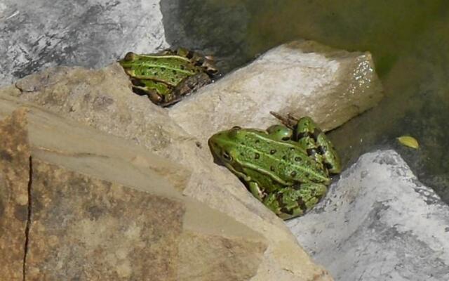 Chambre dhôtes Au Grimartins