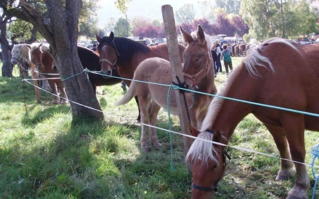 Résidence Les Blanches Provençales