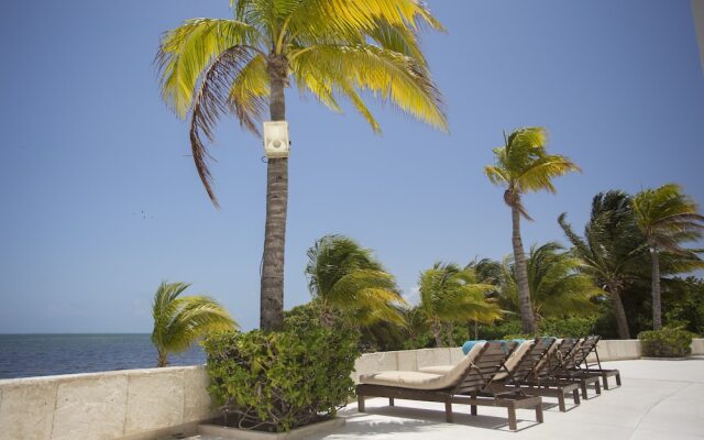 Beautiful Beachfront Apartments