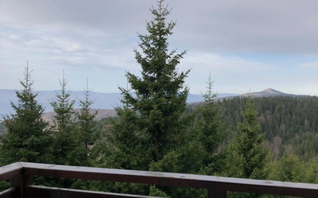 Vila Planinsko Blago Luxury Apartmans