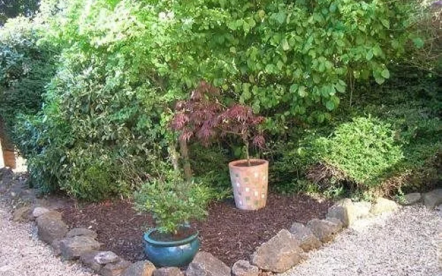 Alfred's Lodge - B&B