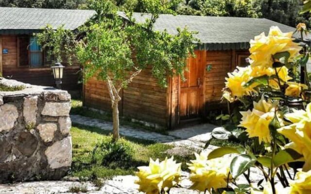 Sun Arzum Bungalow