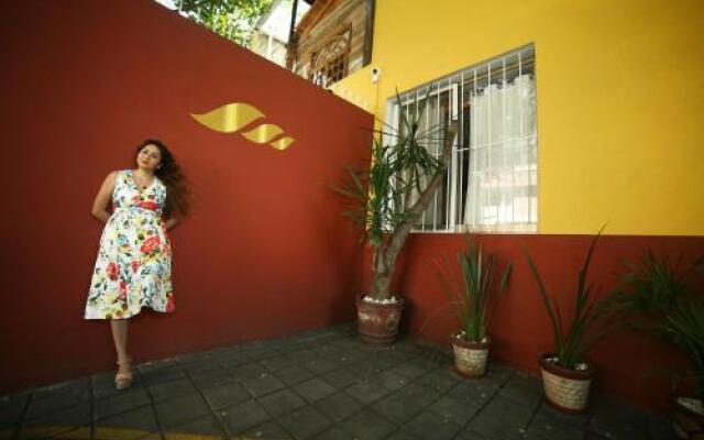 Collection O Casa Anzures Thematic, Mexico City