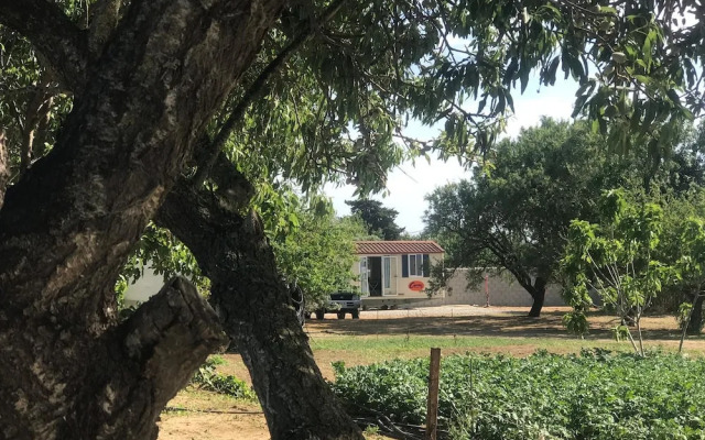 Tiny Casa - Mobile House