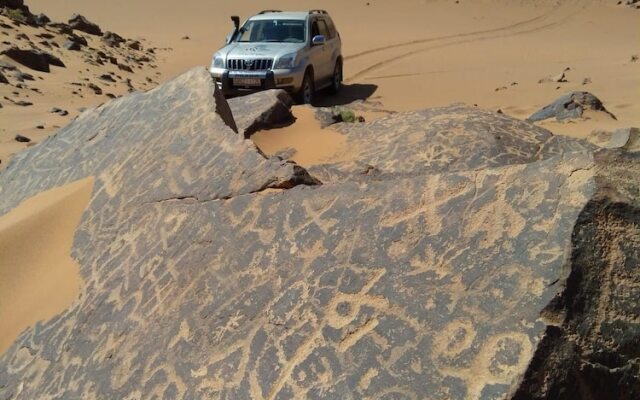Sahara Camp & Camel Trek