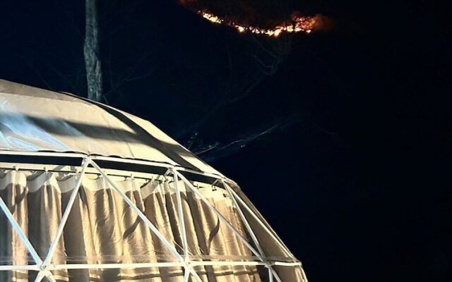 Potrero Glamp