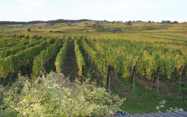 Chambre dHotes Le Vogelgarten