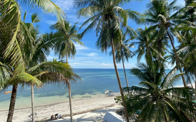 Anda White Beach Resort