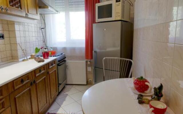 Family Buda Apartment