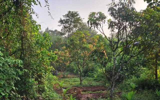 Room-serene Arambol Retreat - Private St