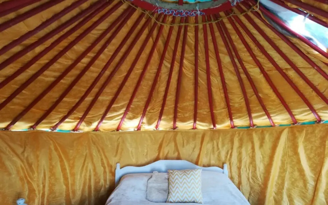 Kestrel Yurt