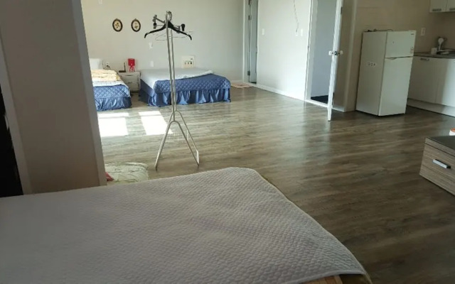 The Freedom - Hostel