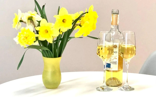 VIP Apartment in a new building in the center