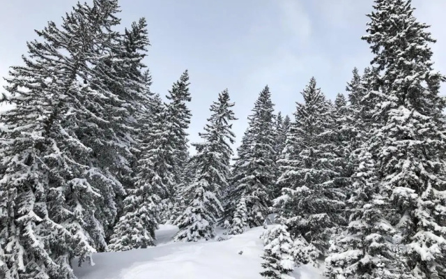 Hotel Mondschein & Chalet Mondschein