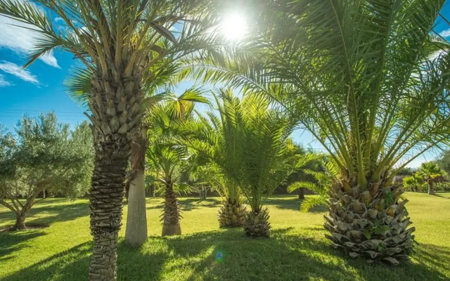 Villa les Oliviers 2 Bedrooms - A Setting of Tranquility
