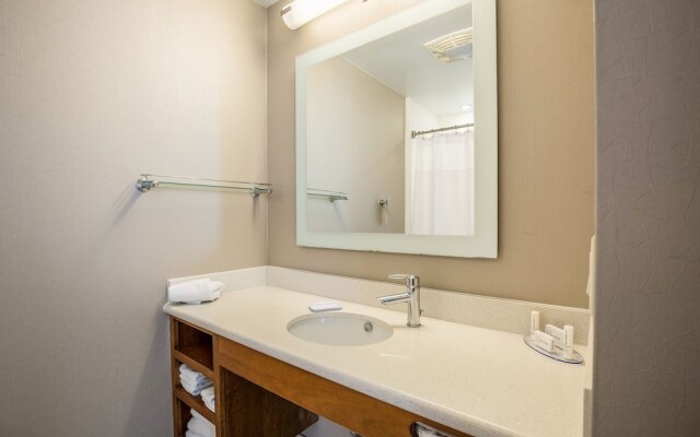 SpringHill Suites by Marriott-Houston/Rosenberg