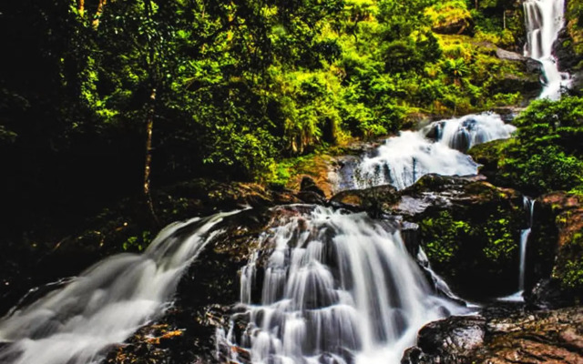 STAYMAKER Vibe Inn Homestay