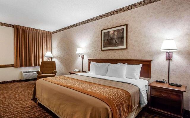 Comfort Inn & Suites Branson Meadows