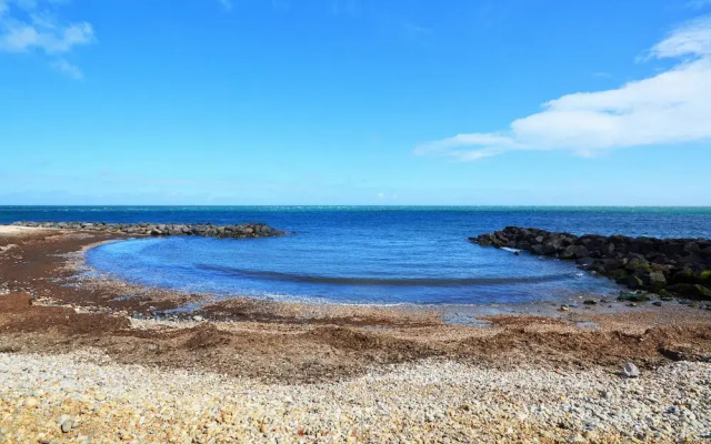 The Breakwaters