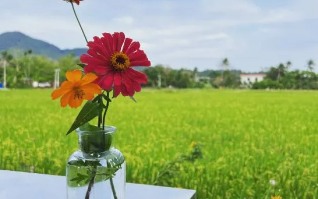 Wanning Yellow&White Homestay