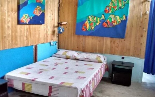 El Hamaquero Hostal EcoNativo