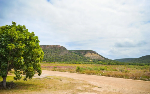 Addo Park View Ndlovu